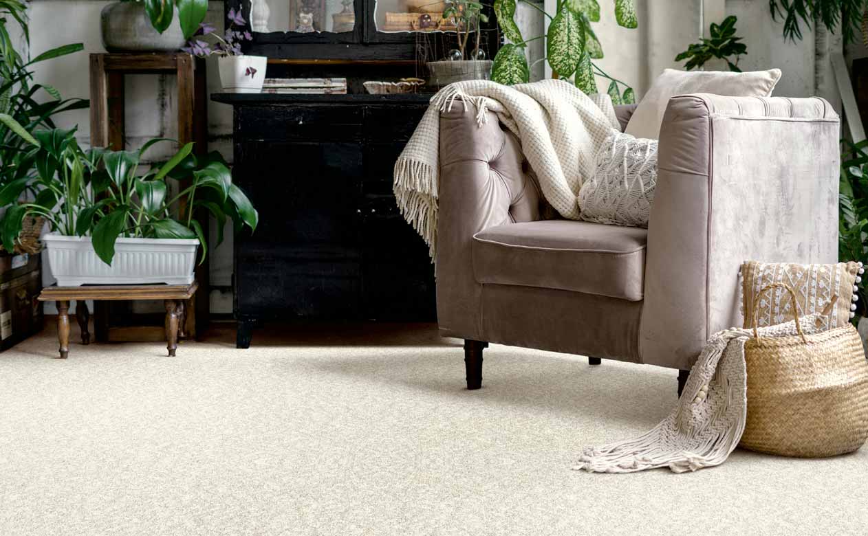 beige carpet in a living room with a velvet accent chair and houseplants